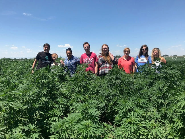 Visiting the Pet Releaf Hemp Fields With Kriser’s