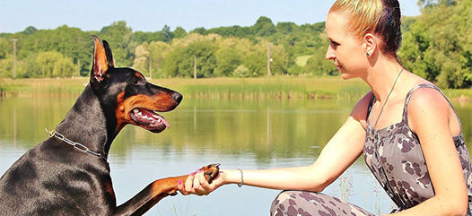 How to Choose the Best Treat for Your Pet