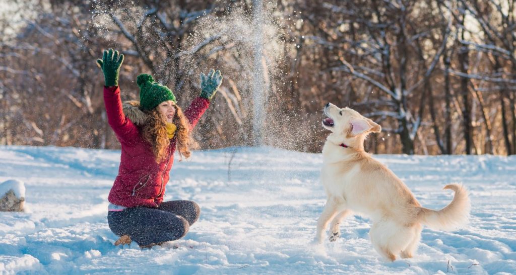 Winter Safety Tips for Your Dog
