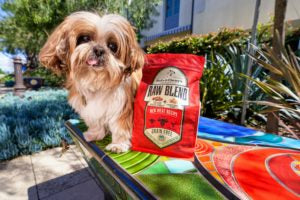 Why Stella & Chewy’s Is Loved by Pet Owners