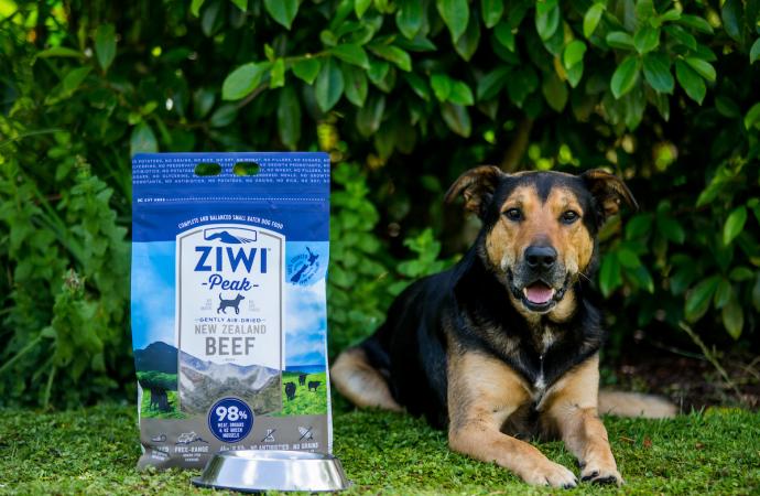 Why Ziwi Peak Is a Trusted Pet Food Brand