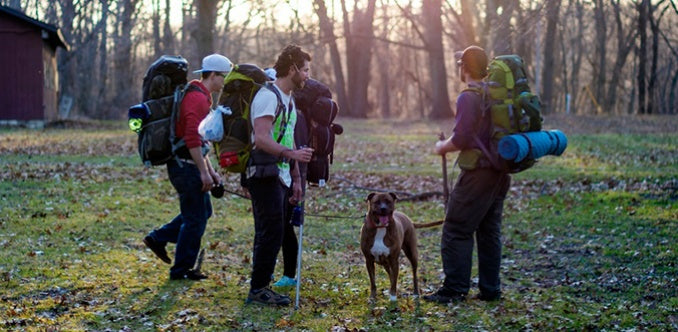 Deciding If Your Pet Should Stay or Go