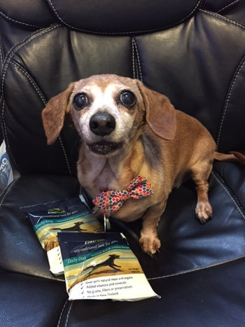How We Helped Vienna: A Pet Wellness Story